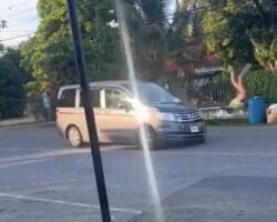 Madman gets git and thrown away by car