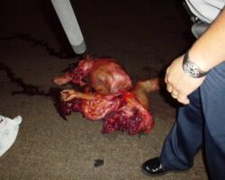 Man ended his life by jumping from high bridge