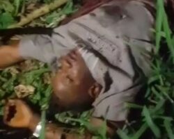 Members of Black Axe gang massacre rival in forest