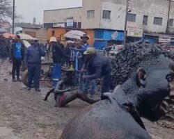 Punishment for two Zimbabwean car thieves