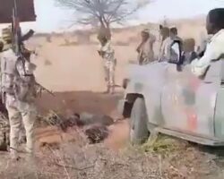RSF militants drove vehicle over multiple captured civilians