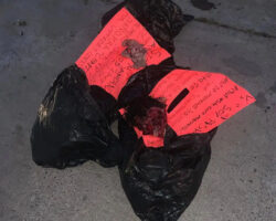 Remains of missing young man found in plastic bags