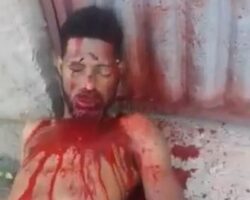 Shot dead while planting a plant