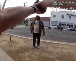 Suspect with fake gun shot by police officers