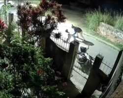 Two hitmen waited for their victim hidden near his house