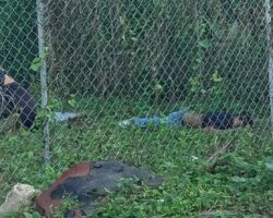 Two young Mexican bikers died in accident