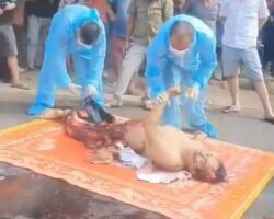 Vietnamese man ends it all by lying in front of moving truck