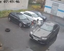 Wife of prominent Russian businessman ambushed on street