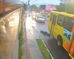 Woman commits suicide by lying down under bus