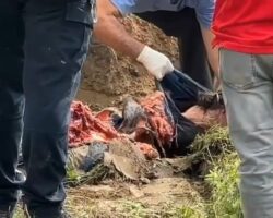 Woman crushed by detached truck trailer