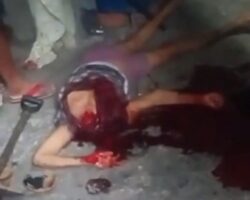 Woman found decapitated in her home