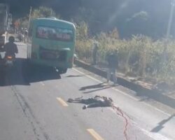 Aftermath of fatal traffic accident