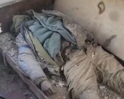 Aftermath of small battle in Ukraine