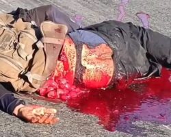 Biker with exposed intestines dying after collision with bus