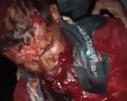 Bloody aftermath of jaguar attack