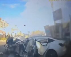 Couple crushed by rented Tesla