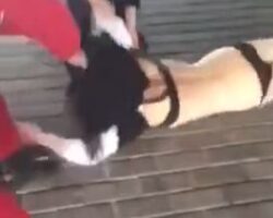 Encounter of angry wife with her husband’s mistress