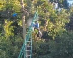 Energy company employee killed by high-voltage electricity