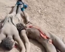 Entire village massacred by militants