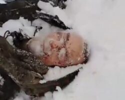 Fallen soldier found under snowdrift