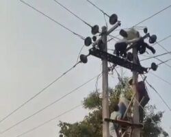 Futile attempt to save electrocuted worker