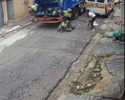 Garbage collectors attacked by aggressive pit bull
