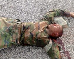 Government force soldiers killed by terrorists in Mozambique