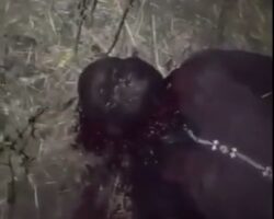 Nigerian Christians massacred by radical Islamist group