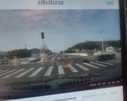 Pedestrian fatally struck by light truck