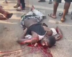 Pedestrian struck and killed by van