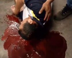 Store security guard killed in armed attack