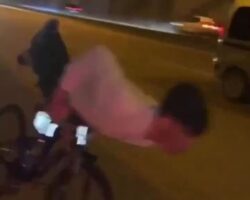 Stunt on modified bicycle cost him his life