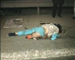 Unsuccessful attempt to cross highway