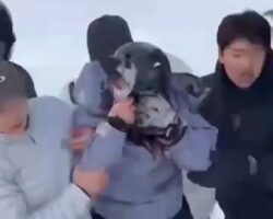 Woman attacked by snow leopard