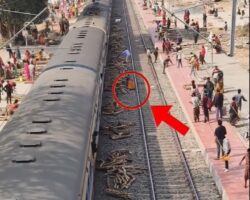 Woman seriously injured by piece of wood thrown by moving train