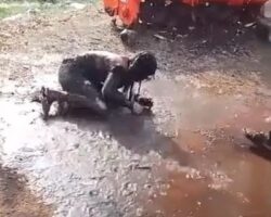 Woman set herself on fire after argument with her family