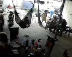 Assassinated while relaxing in hammock