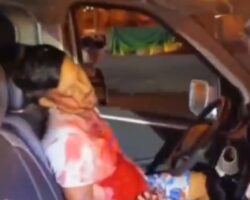 Assassination of van driver