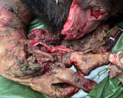 Bomb attacks in the Thai province of Narathiwat