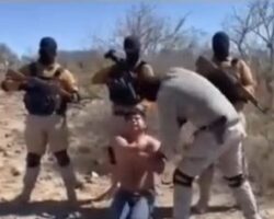 Brutal execution of criminal by Mexican drug cartel