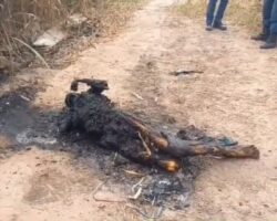 Burned corpse found by BR-235 highway