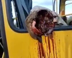 Bus carrying Russian soldiers hit by missile