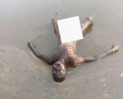Eldery male corpse found in irrigation pond