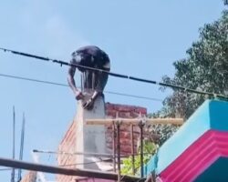 Electrocuted to death during roof repair