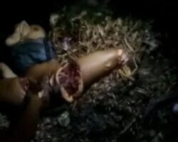 Gangsters dismembering woman’s body with machete