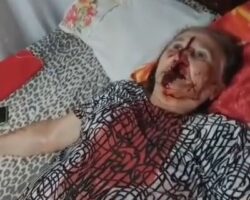 Granddaughter killed her grandfather and shot her grandmother