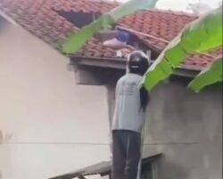 Guy died after being attacked by swarm of wasps