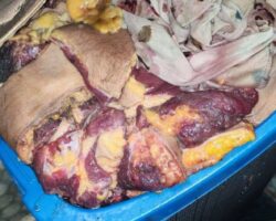 He murdered his girlfriend and ground her up in meat grinder