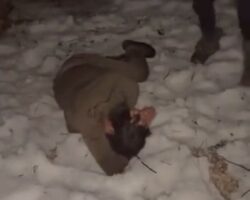 Humiliation and bullying in Russian army