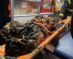 Iraqi commander killed in U.S. airstrike